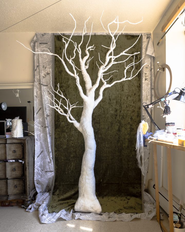 The studio, photo 7