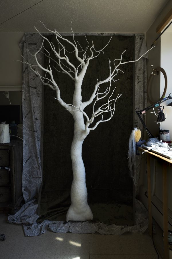 The Tree and The White Wanderers, photo 4